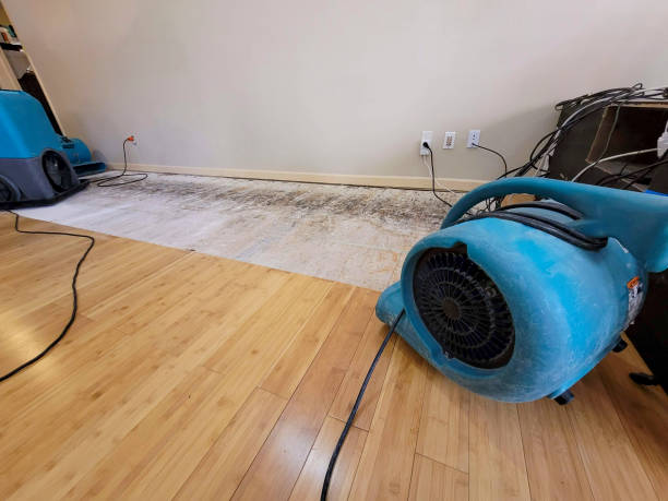 Professional Water Damage Repair technician working in Centreville, MS